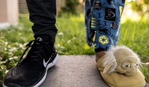 Photo by Ayesh Rathnayake