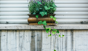 Photo by Benedikt Geyer