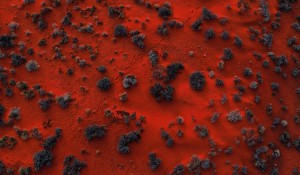 Photo by Ty Andersen