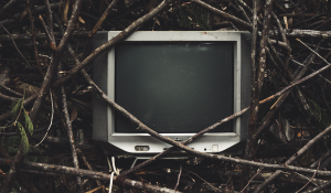 Photo by Liam Hunter