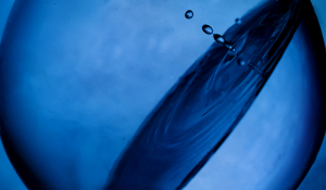 Photo by Alina Askovska