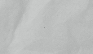 Original Photo by Marjan Blan