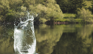 Photo by Lucio Abatemarco